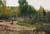 Bild 001